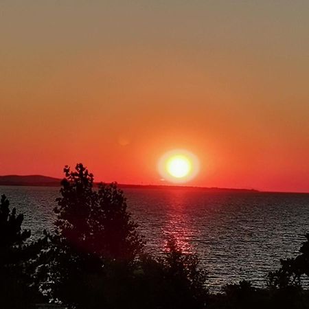 Apartman Zvoncica Vrsi Bagian luar foto