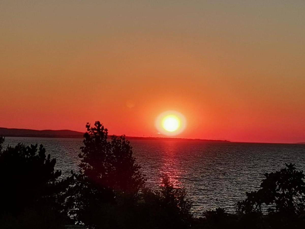 Apartman Zvoncica Vrsi Bagian luar foto