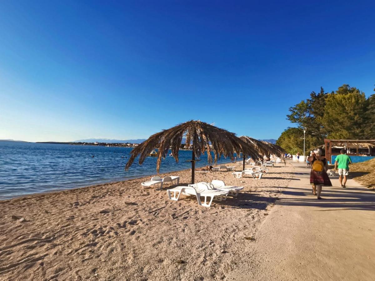 Apartman Zvoncica Vrsi Bagian luar foto