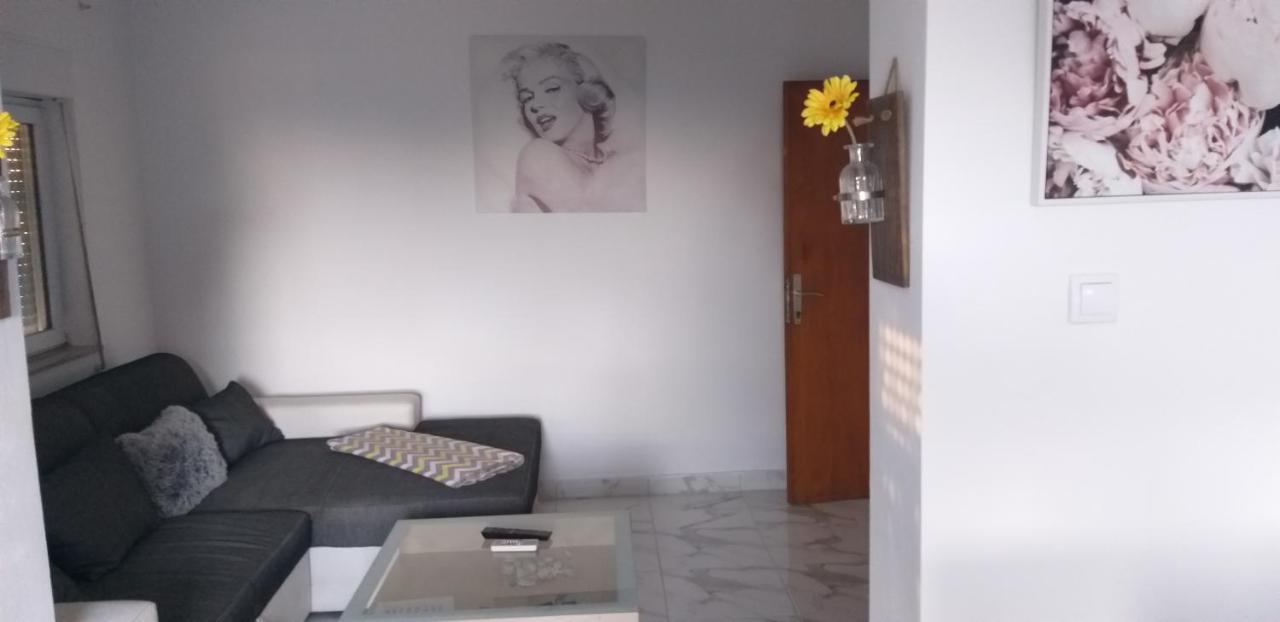 Apartman Zvoncica Vrsi Bagian luar foto
