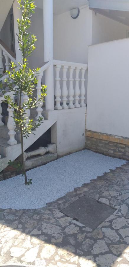Apartman Zvoncica Vrsi Bagian luar foto