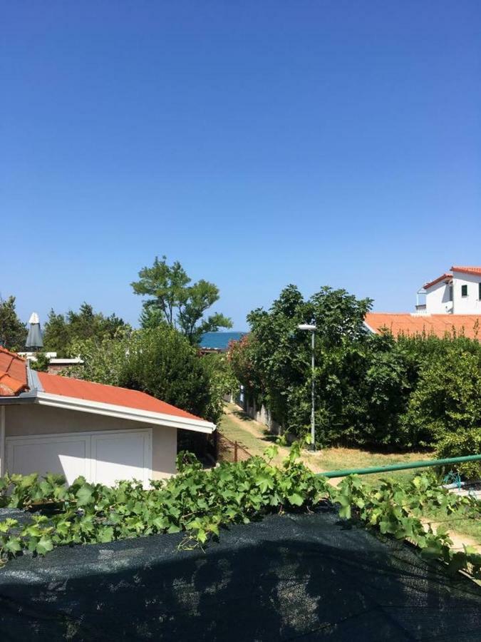Apartman Zvoncica Vrsi Bagian luar foto