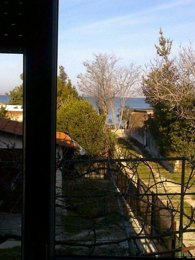 Apartman Zvoncica Vrsi Bagian luar foto