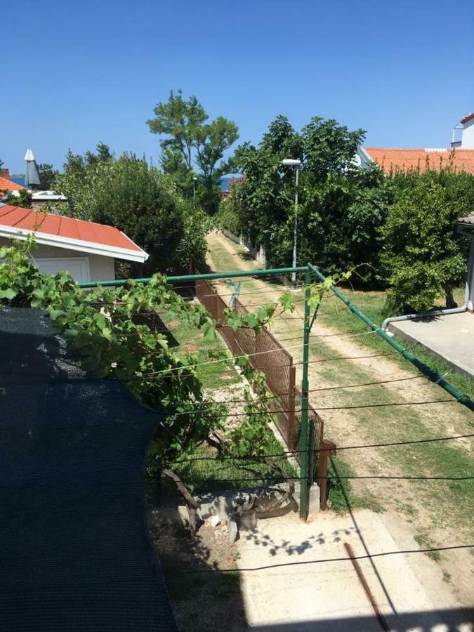 Apartman Zvoncica Vrsi Bagian luar foto