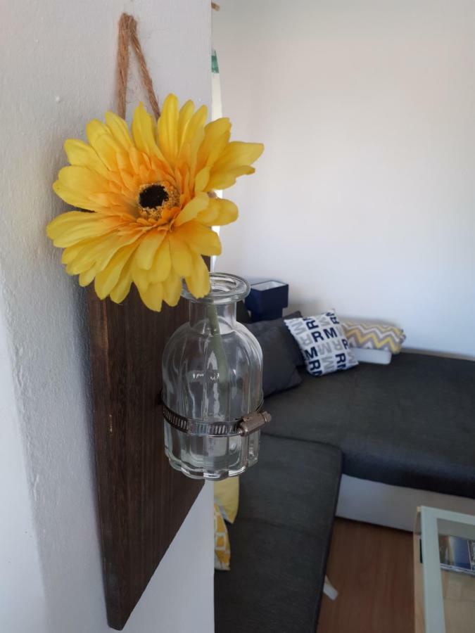 Apartman Zvoncica Vrsi Bagian luar foto