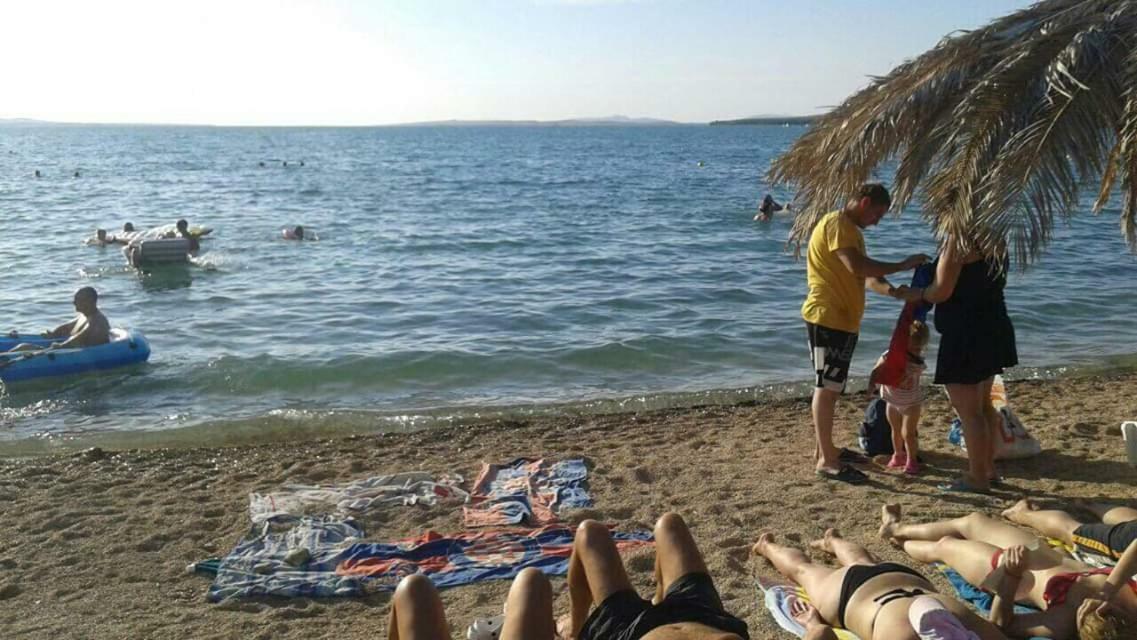 Apartman Zvoncica Vrsi Bagian luar foto