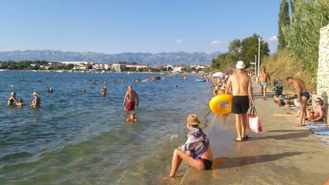 Apartman Zvoncica Vrsi Bagian luar foto